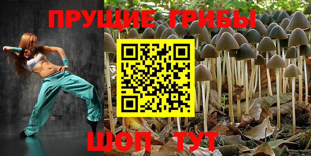 Галлюциногенные грибы прущие грибы  Галлюциногенные грибы прущие грибы  Дальнегорск 
