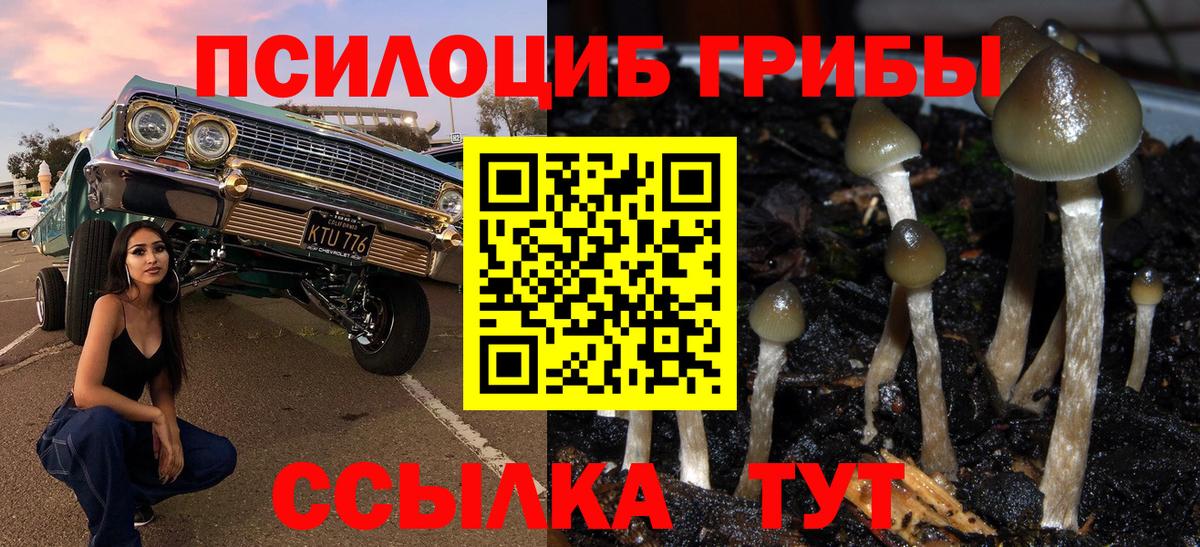 Галлюциногенные грибы MAGIC MUSHROOMS  Вход с VPN  Дальнегорск  Галлюциногенные грибы мицелий 